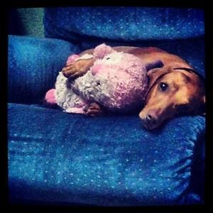 Meet your Posher, Kellie